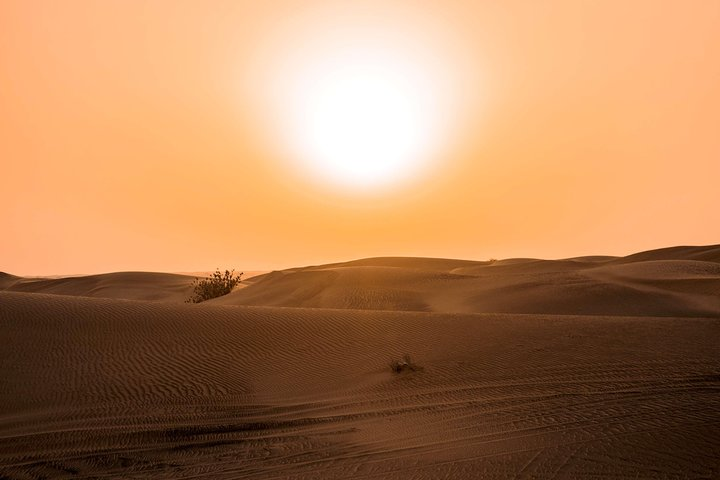 Witness the sun setting over endless sand dunes painting the sky with warm hues while embracing the calm of the desert. A perfect backdrop for an unforgettable evening adventure.